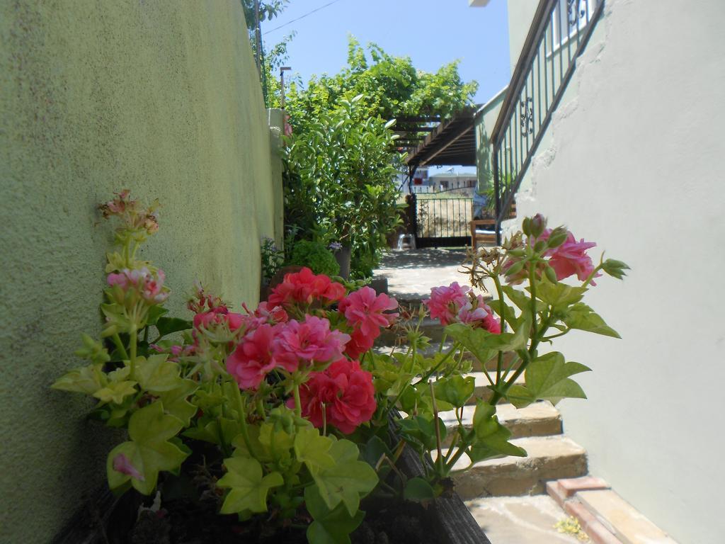Irmak Family Pension & Apartments 에체밧 객실 사진